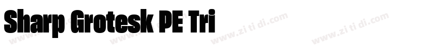 Sharp Grotesk PE Tri字体转换